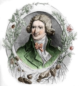 Antoine Augustin Parmentier (1737-1813), ranskalaisen sotilasapteekin ja agronomin muotokuva. Kaiverrus Edmond Morin