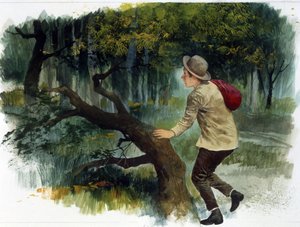 Lastenkirjallisuus: Apenniineilta Andeille. Nuori poika yksin metsässä (piirustus)
