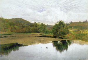 Allas, 1860 (wc ja kynä ja muste paperille)