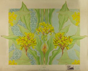 Indian Shot Lily, n. 1895 (guassi paperille)