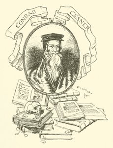 Conrad Gesner tekijältä Edmund Joseph after Sullivan