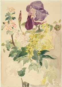 Kukkakappale, jossa on iiristä, sarvenumia ja geraniumia. 1880 tekijältä Édouard Manet