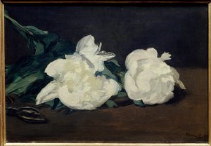 Valkoisten pionien oksa ja oksasaha Edouard Manet