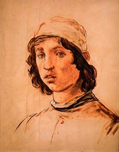 Nuoren miehen pää Filippino Lipin omakuvan jälkeen tekijältä Édouard Manet