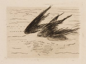 Pääskyset, levy 8 Le Fleuve -lehdestä tekijältä Édouard Manet