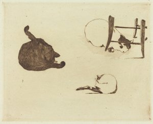 The Cats Les chatit, 1869. tekijältä Édouard Manet