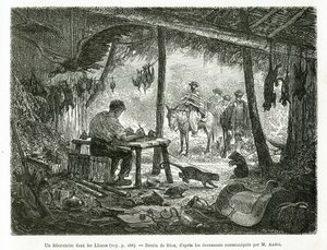 Taksidermian laboratorio neitsytmetsässä Llanosin alueella (Kolumbia), Rioun piirustus kuvaamaan tarinaa Equinoxiale Americasta (Kolumbia, Ecuador, Peru) vuosina 1875-1876, kirjoittanut Ed. andre, Ranskan hallituksen matkustusvastuumaksu. Engra tekijältä Edouard Riou