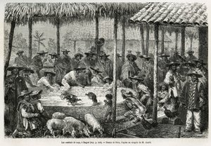Kukotappelu ja katuanimaatio Ibaguessa (Kolumbia), Rioun piirustus kuvaamaan tarinaa Equinoxiale Americasta (Kolumbia, Ecuador, Peru), vuosina 1875-1876, kirjoittanut toim. andre, Ranskan hallituksen matkustusvastuumaksu. Kaiverrus kirjassa Le tour du mond tekijältä Edouard Riou