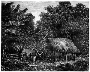 Guyana, Etelä-Amerikka, 1800-luku tekijältä Edouard Riou