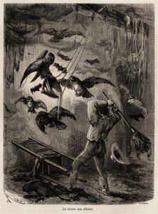 Sarayacun (Peru) kirkossa turvautuneiden pöllöjen metsästys, Rioun piirustus havainnollistamaan Paul Marcoyn matkaa Tyyneltämereltä Atlantin valtamerelle vuosina 1848–1860. Kaiverrus kirjaan "" Le tour du monde", toimittanut Edouard Charton
