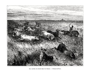 Karja, Los Llanos, Venezuela, 1800-luku tekijältä Edouard Riou