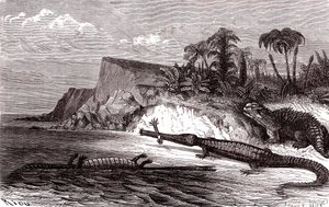 Teleosaurus ja Hyleosaurus tekijältä Edouard Riou