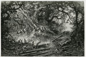Mahonkipuun hyödyntäminen Andien metsissä. Rioun kaiverrus havainnollistamaan arkeologin ja valokuvaajan Desire Charnayn (1828-1915) tarinaa "Matka Yucataniin ja Lacandonien maahan" vuonna 1882. Julkaistu Tour du monde noussa tekijältä Edouard Riou