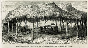 Trapiche tai sokerimylly keppien jauhamiseen Panchessa (Kolumbia), Rioun piirustus kuvaamaan tarinaa Equinoxiale Americasta (Kolumbia, Ecuador, Peru) vuosina 1875-1876, kirjoittanut toim. andre, Ranskan hallituksen matkustusvastuumaksu. Kaiverrus kirjassa  tekijältä Edouard Riou