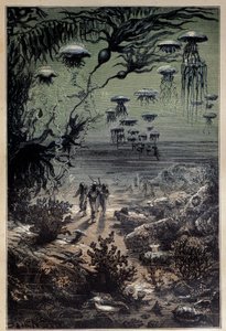 Vedenalainen lattia. Edouard Rioun (1833-1900) kuvitus Jules Vernen (1828-1905) romaaniin "Kaksikymmentä tuhatta liigaa meren alla" 1800-luvun yksityinen kokoelma