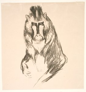 Gorilla (Manner) tekijältä Edvard Munch