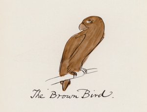 Edward Lear, Lintukirja: Ruskea lintu (väri litho)