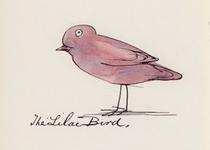 Edward Lear, Lintukirja: Lila lintu (väri litho)