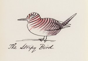 Edward Lear, Lintukirja: Raidallinen lintu (värilitho)
