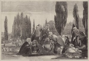 Scutarin matkamuisto tekijältä Edward A. Armitage