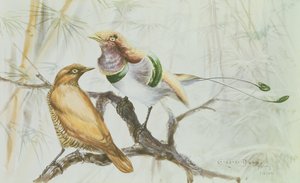 Huonekalut ja erilaiset esineet 1100- ja 1300-luvuilta tekijältä Edward Adrian Wilson