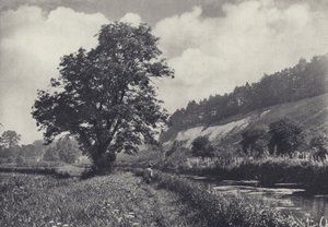 Iso tuhka pääkannattajalla, Leckford (s/w-kuva). tekijältä Edward Alfred Barton