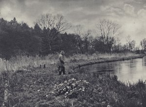 Kevään ensimmäiset kuningaslinnut (s/w-kuva) tekijältä Edward Alfred Barton