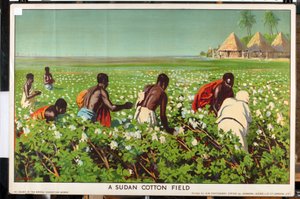 Sudanin puuvillapelto sarjasta "Empire Trade is Growing" (väri litho) tekijältä Edward Barnard Lintott