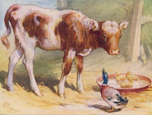Vasikka ja ankat (väri litho)