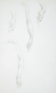 Käsien ja käsivarsien luonnoksia (etupuoli); Naisen vartalon luonnos (takapuoli) tekijältä Edward Burne-Jones