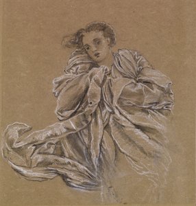Talvi - Lentävän verhon tutkimus tekijältä Edward Burne Jones
