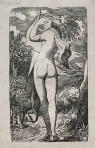 Bacchante tai The Player on The Lyre tekijältä Edward Calvert