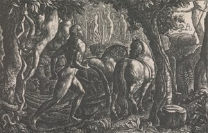 Plowman tekijältä Edward Calvert