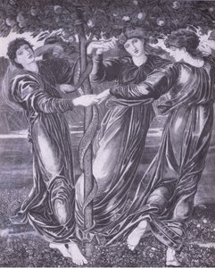 Hesperidien puutarha, Bibby