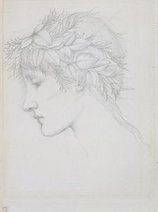 Lehtien kruunaama pää, noin 1897 (lyijykynä paperille). tekijältä Edward Coley Burne Jones