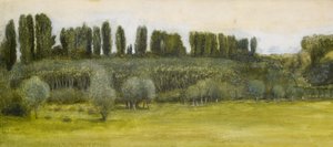 Maisema pajujen ja poppelien kanssa, tutkimus tekijältä Edward Burne Jones