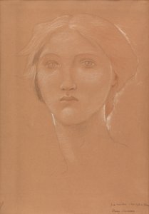 Tutkimus Margaret Burne-Jonesin johtajasta "Kuningas Cophetua ja kerjäläisneito" (liitu paperille) tekijältä Edward Coley Burne Jones