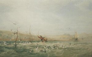 Kalastajat jahtaavat lokkeja verkoista, Mumbles, Etelä-Wales tekijältä Edward Duncan