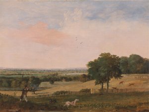 Partridge ampuminen tekijältä Edward Duncan