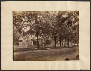 [Talot, Maple City]