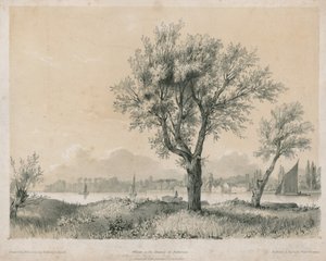 Willows on Thames Batterseassa