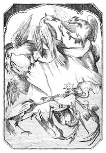 Aasinkaalit, 1901