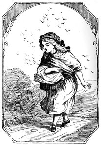 Talo metsässä, 1901