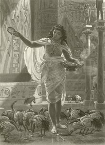 Pyhän ibiksen ruokkiminen Karnacin hallissa tekijältä Edward John Poynter