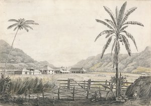 Näkymä Hall-head Sugar Plantationille, Jamaika tekijältä Edward Kennion