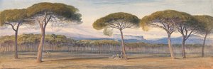 Näkymä mäntymetsään Cannesin yläpuolella tekijältä Edward Lear