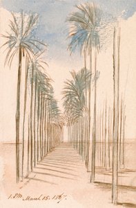 Puiden valtatie tekijältä Edward Lear