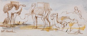 Kamelit tekijältä Edward Lear