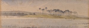 Dhouran saari tekijältä Edward Lear