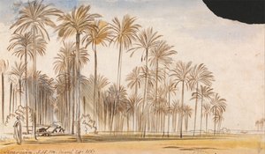Kourayim tekijältä Edward Lear